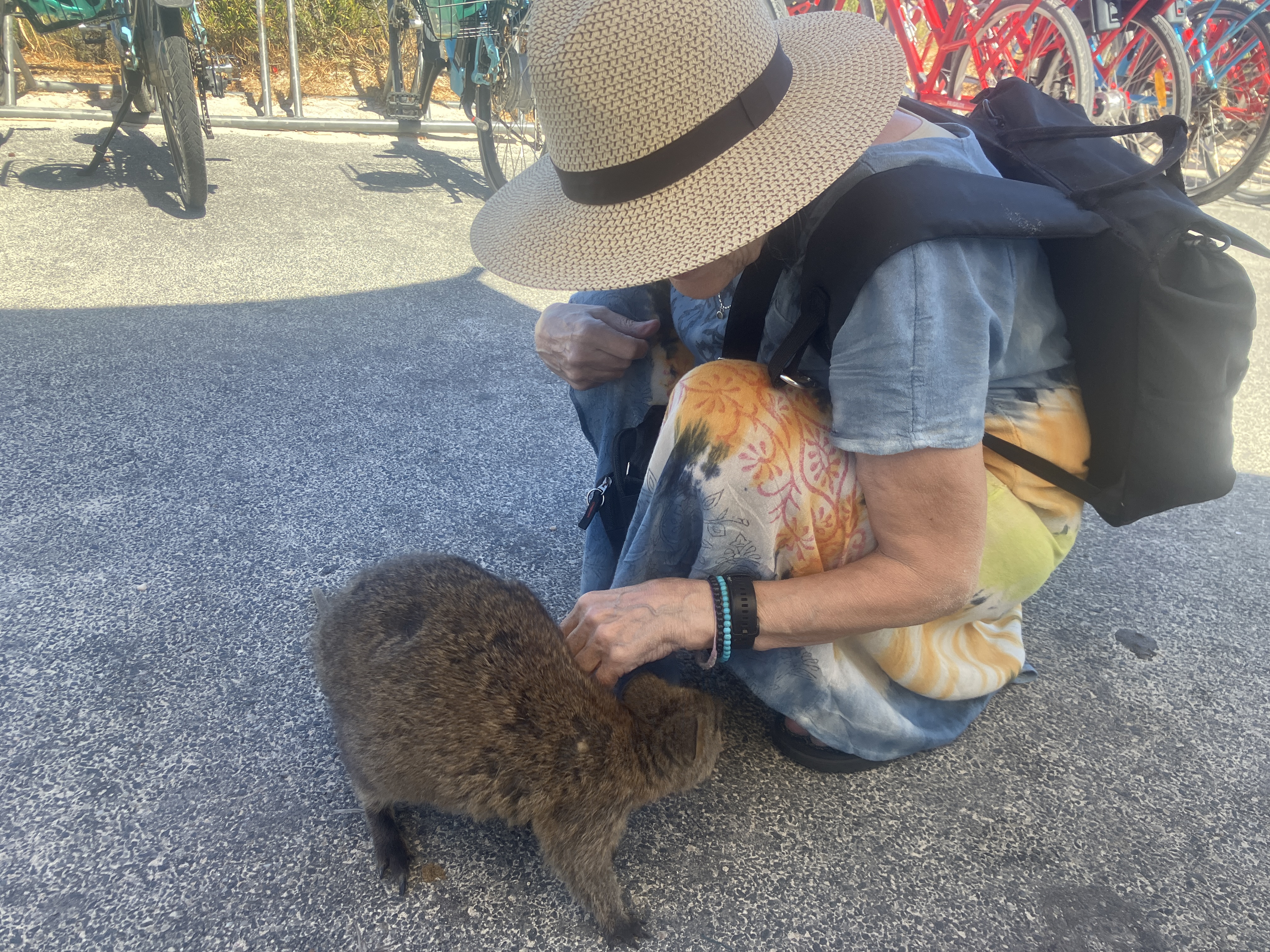 MummoJaQuokka